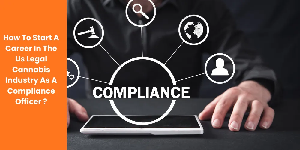 How To Start A Career In The Us Legal Cannabis Industry As A Compliance Officer